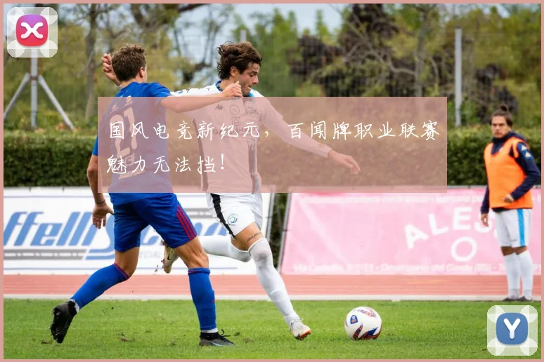 国风电竞新纪元，百闻牌职业联赛魅力无法挡！